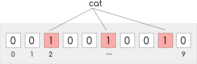 Bloom filter filled with cat